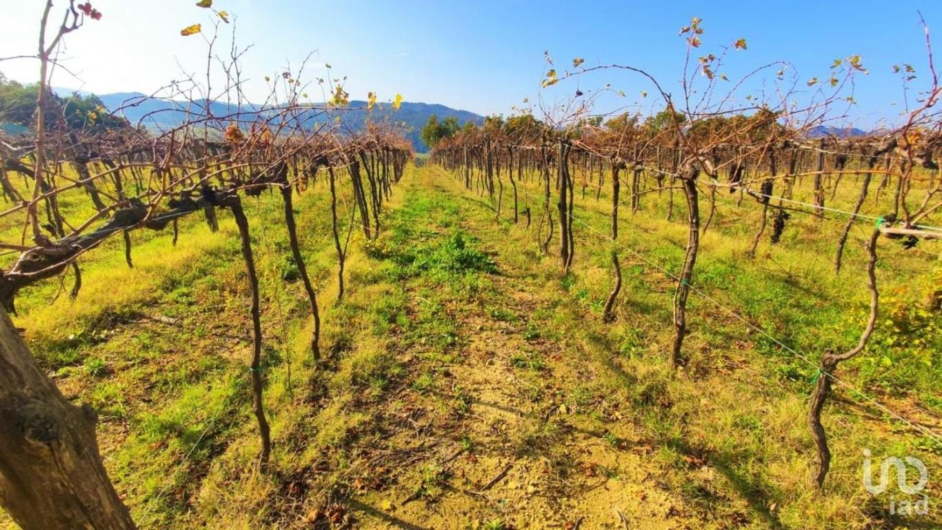 Podere Mona Pomarance Exterior foto